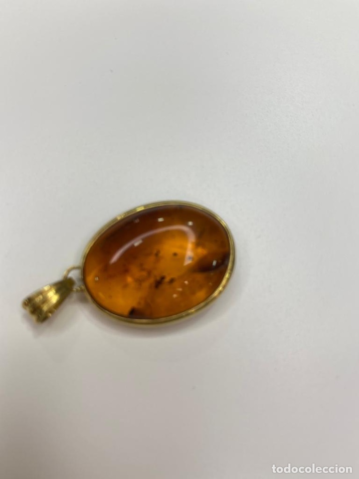 Joyeria: colgante de oro de 18 Kts y ambar con insectos. - Foto 7