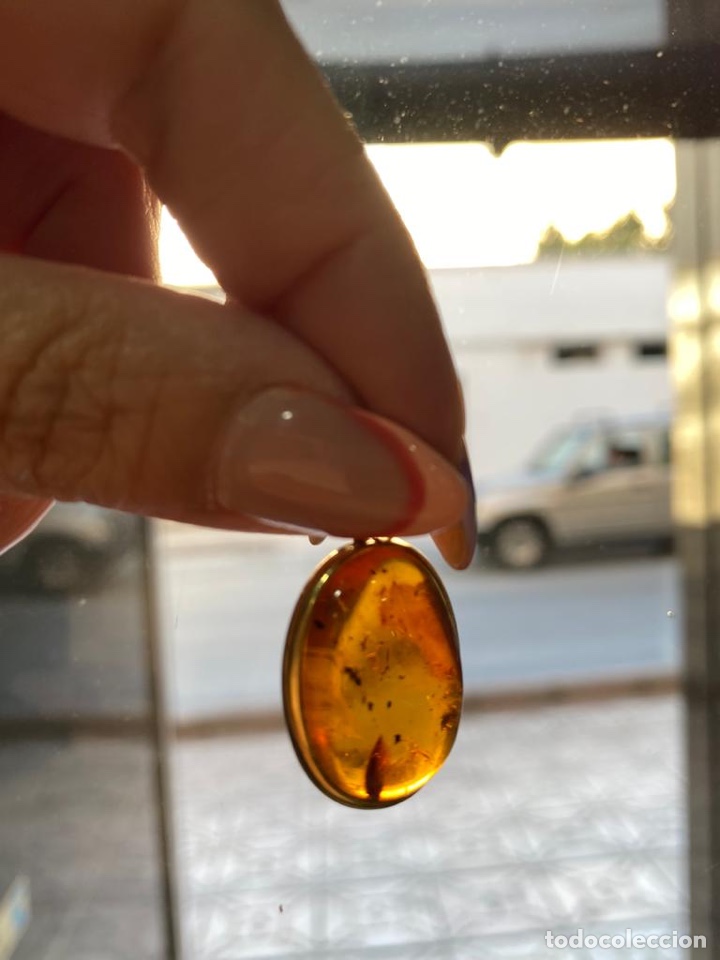 Joyeria: colgante de oro de 18 Kts y ambar con insectos. - Foto 8