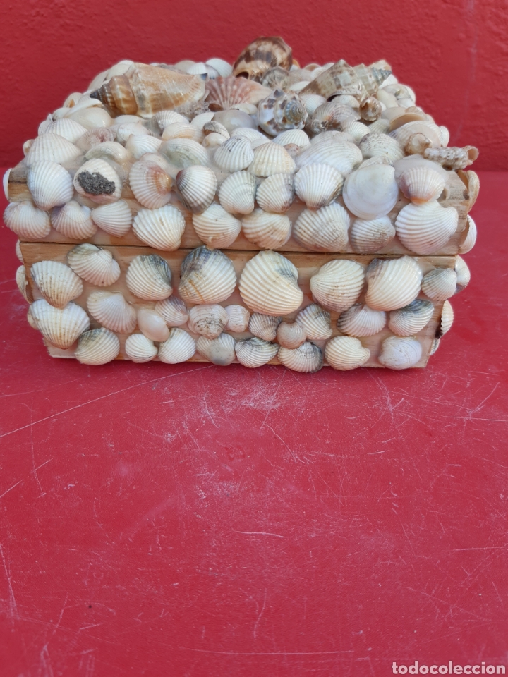 Joyeria: CAJA DE CONCHAS JOYERO - Foto 3