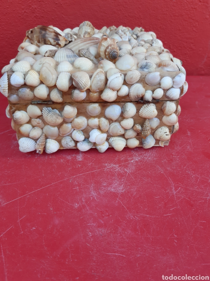 Joyeria: CAJA DE CONCHAS JOYERO - Foto 4