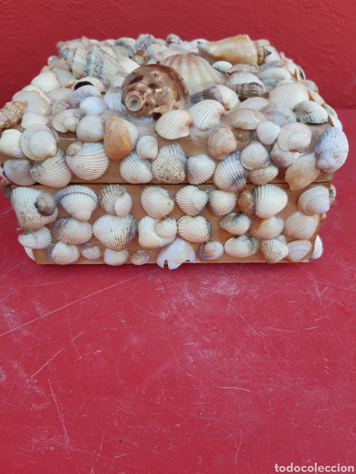 Joyeria: CAJA DE CONCHAS JOYERO - Foto 5