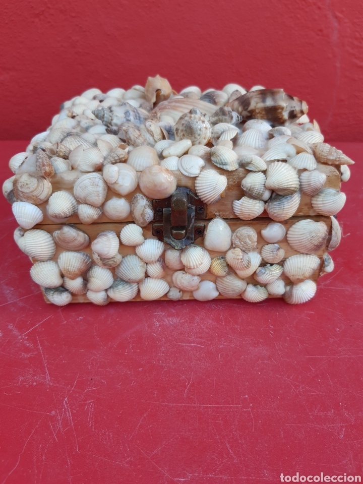 Joyeria: CAJA DE CONCHAS JOYERO - Foto 1