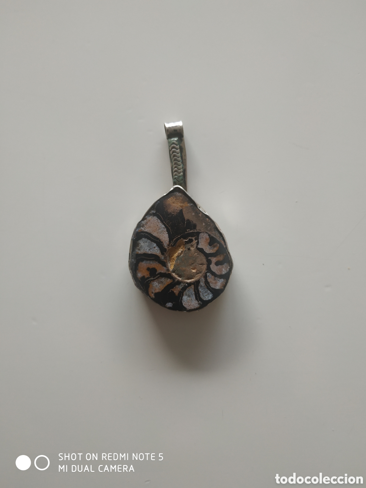 Joyeria: Colgante en plata 925 ,con amonites original - Foto 1