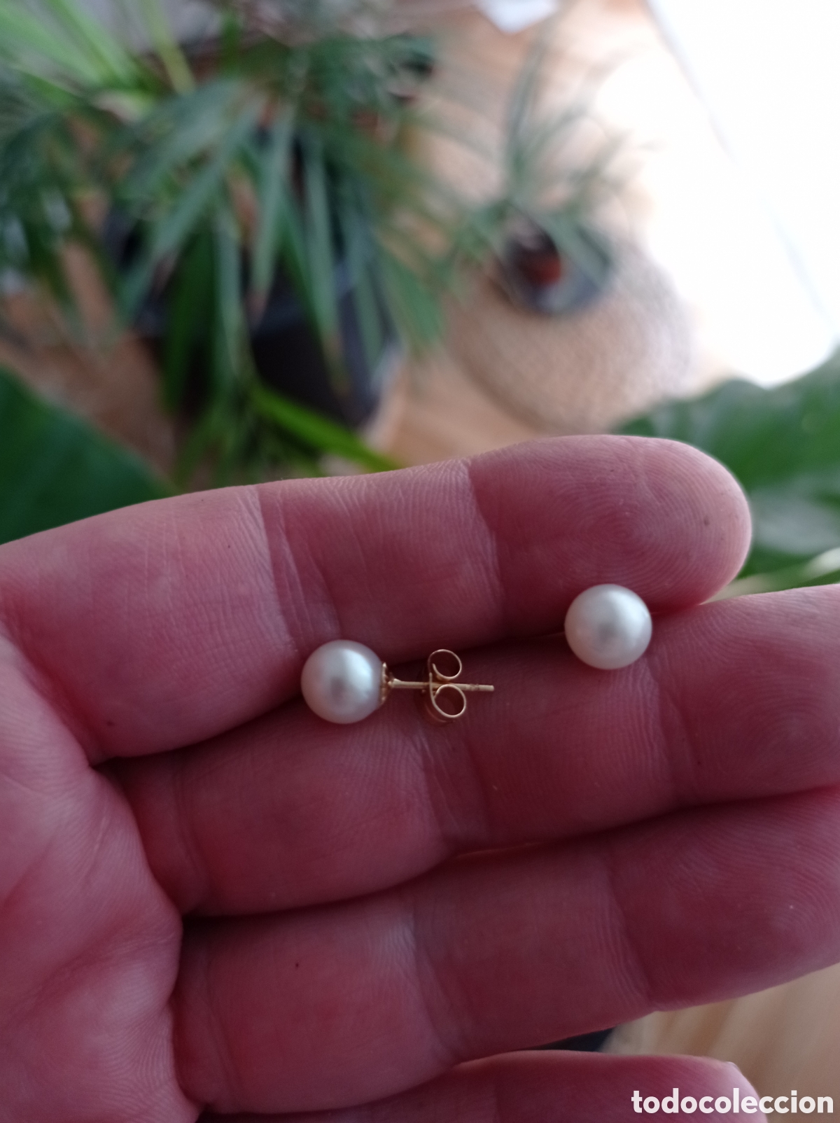 Joyeria: Pendientes de oro y perlas japonesas - Foto 3