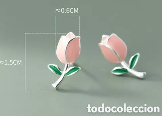 Joyeria: Pendientes de Plata Rosas ENV&Iacute;O GRATIS!! - Foto 4