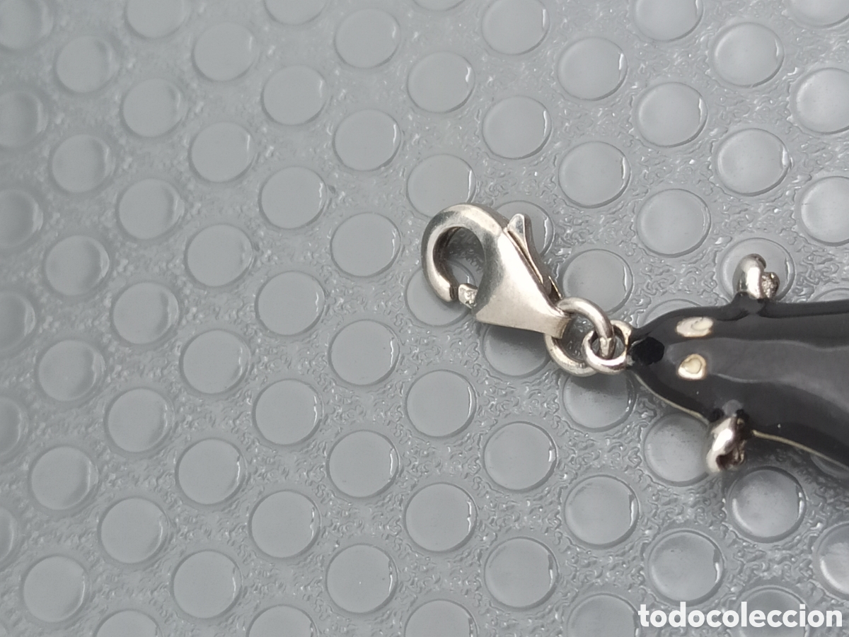 Joyeria: Dije en plata de ley 925 y esmalte fantasma - Foto 3