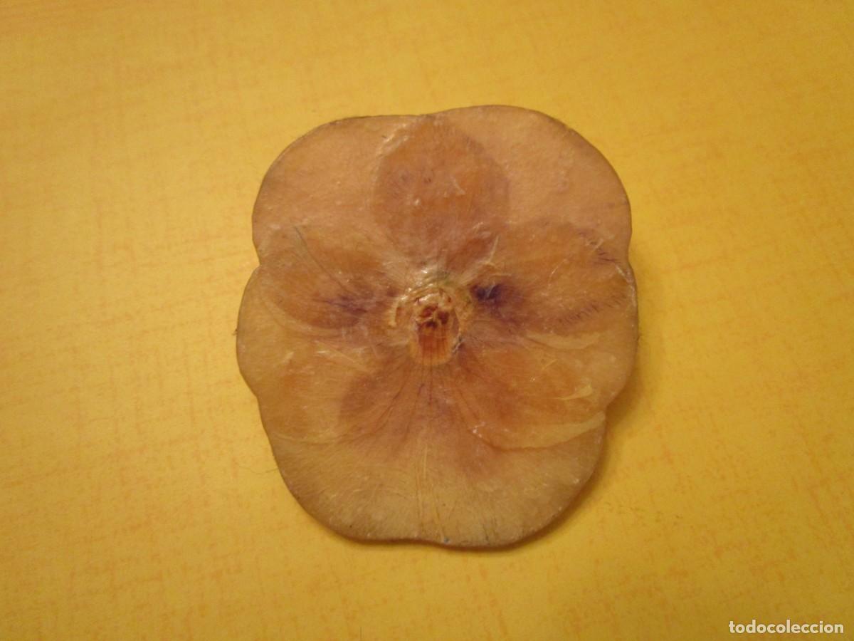 Joyeria: ANTIGUO BROCHE PRENDEDOR ALFILER - Foto 1