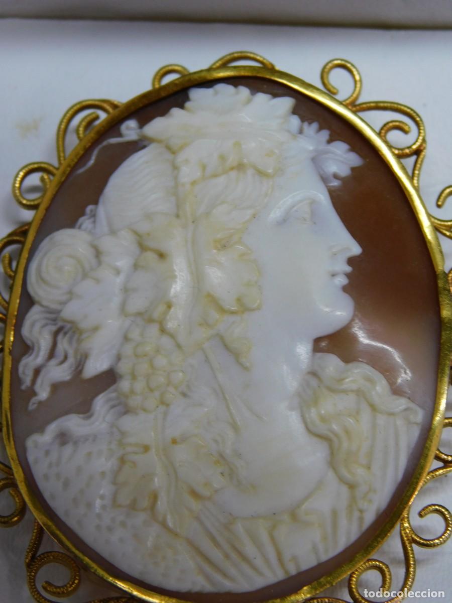 Joyeria: BROCHE CAMAFEO - CONCHA NATURAL - ORO 14K - Foto 1