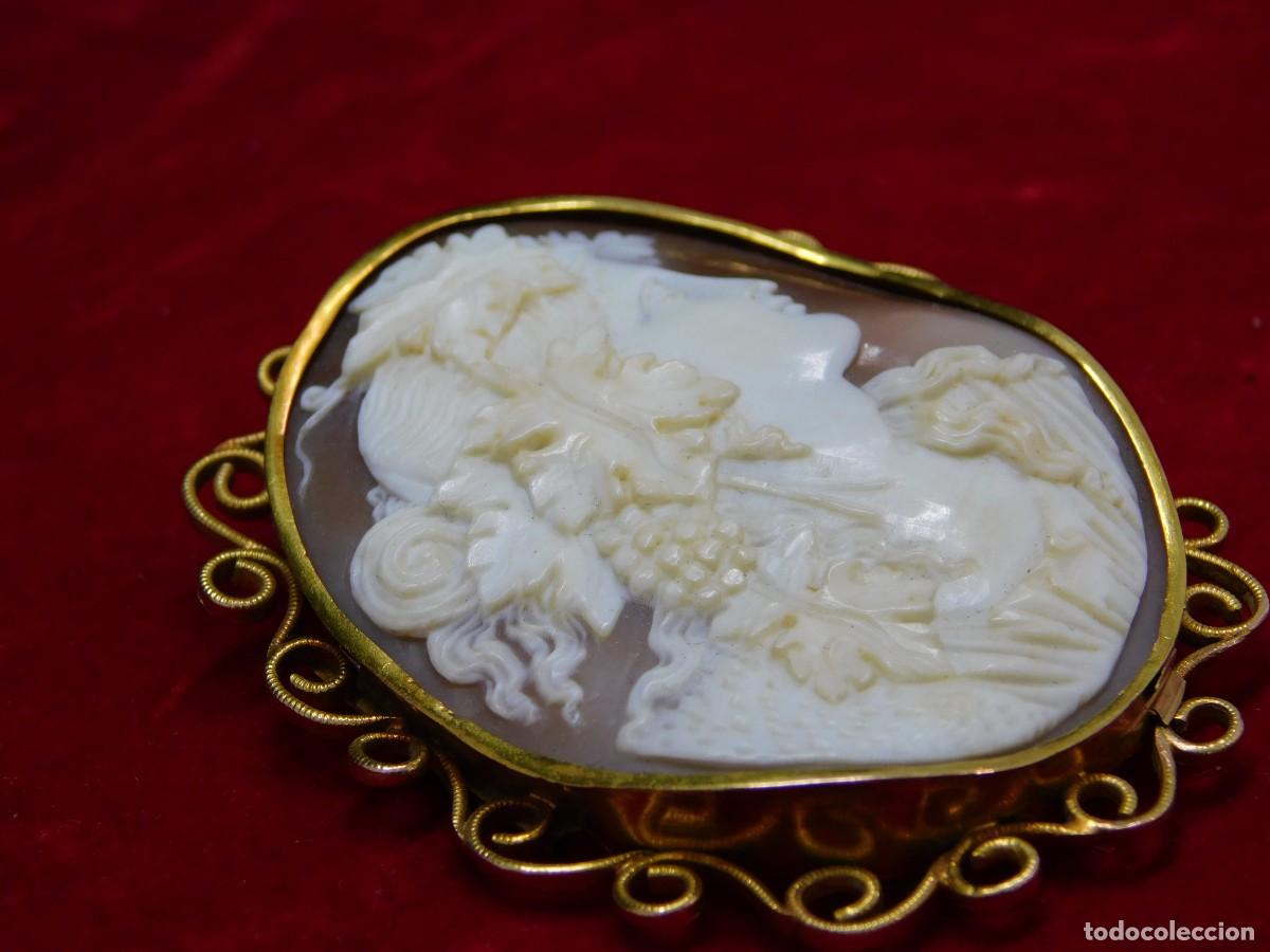 Joyeria: BROCHE CAMAFEO - CONCHA NATURAL - ORO 14K - Foto 5