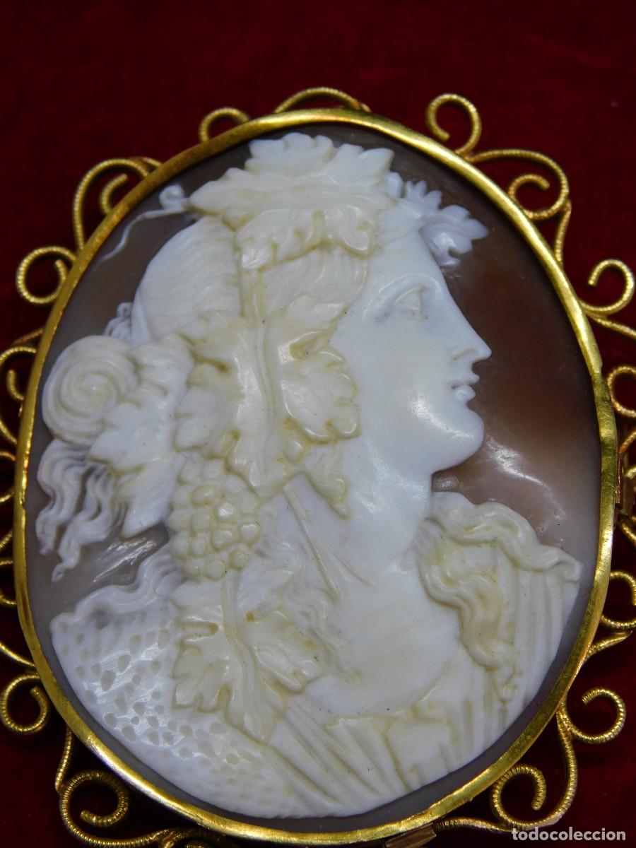 Joyeria: BROCHE CAMAFEO - CONCHA NATURAL - ORO 14K - Foto 6