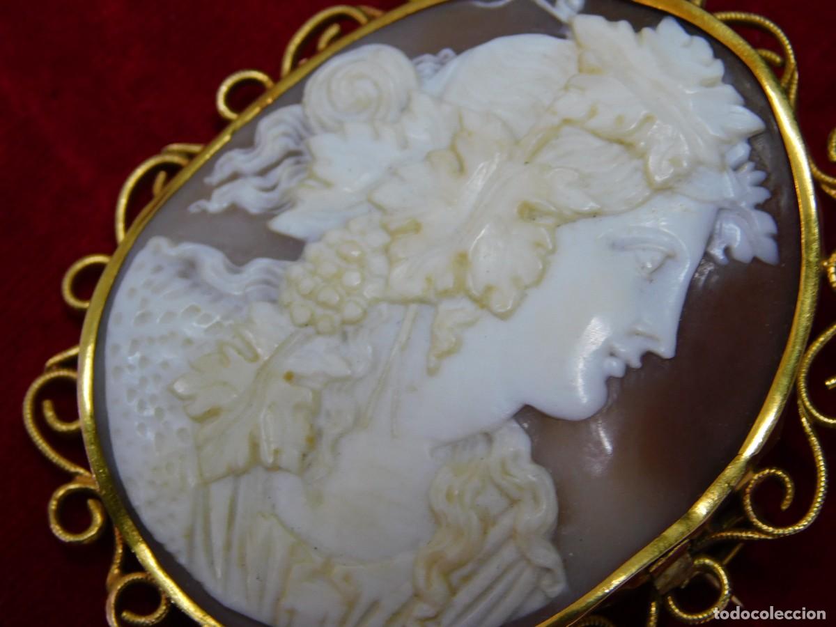 Joyeria: BROCHE CAMAFEO - CONCHA NATURAL - ORO 14K - Foto 7