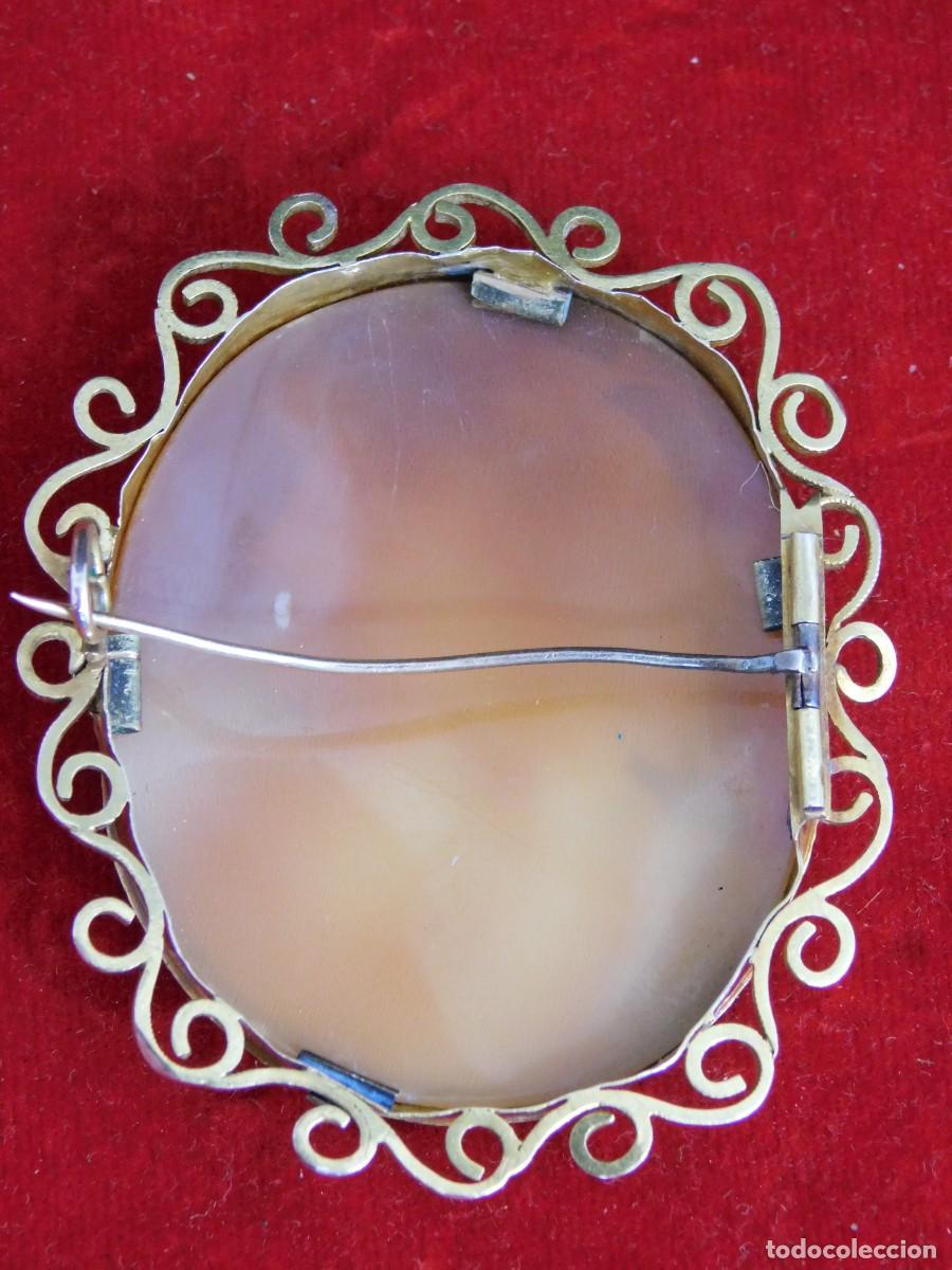Joyeria: BROCHE CAMAFEO - CONCHA NATURAL - ORO 14K - Foto 12