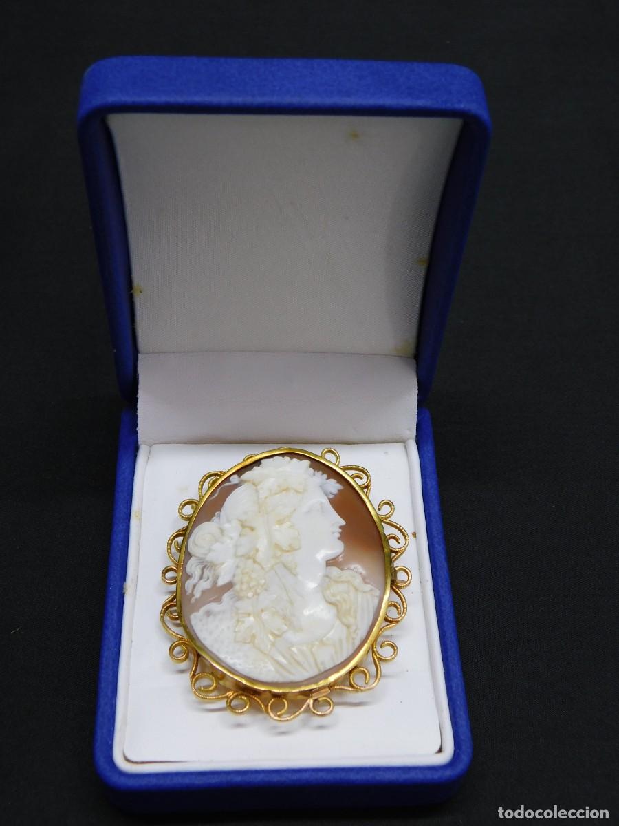 Joyeria: BROCHE CAMAFEO - CONCHA NATURAL - ORO 14K - Foto 16