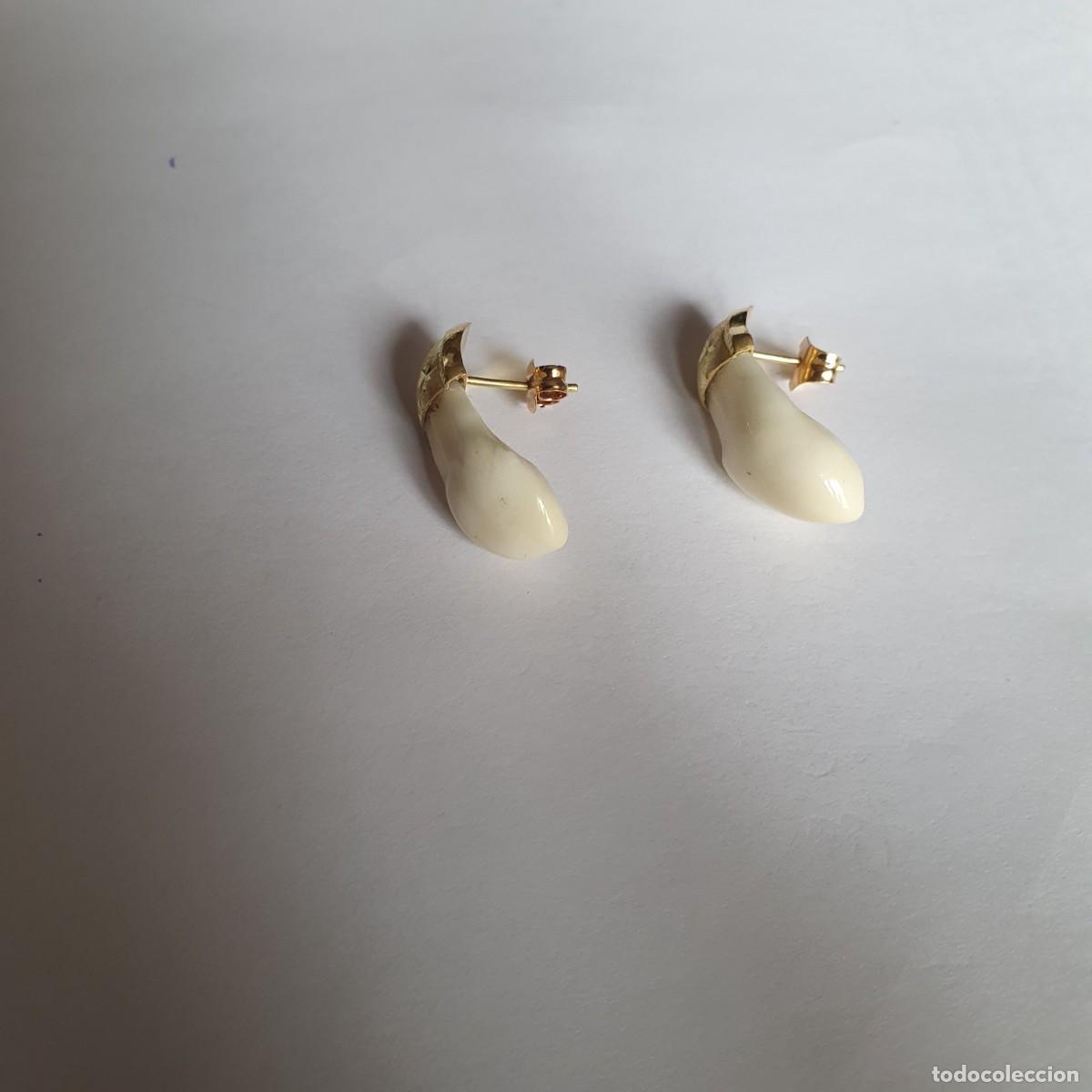 Joyeria: pendientes oro con dientes de ciervo - Foto 4