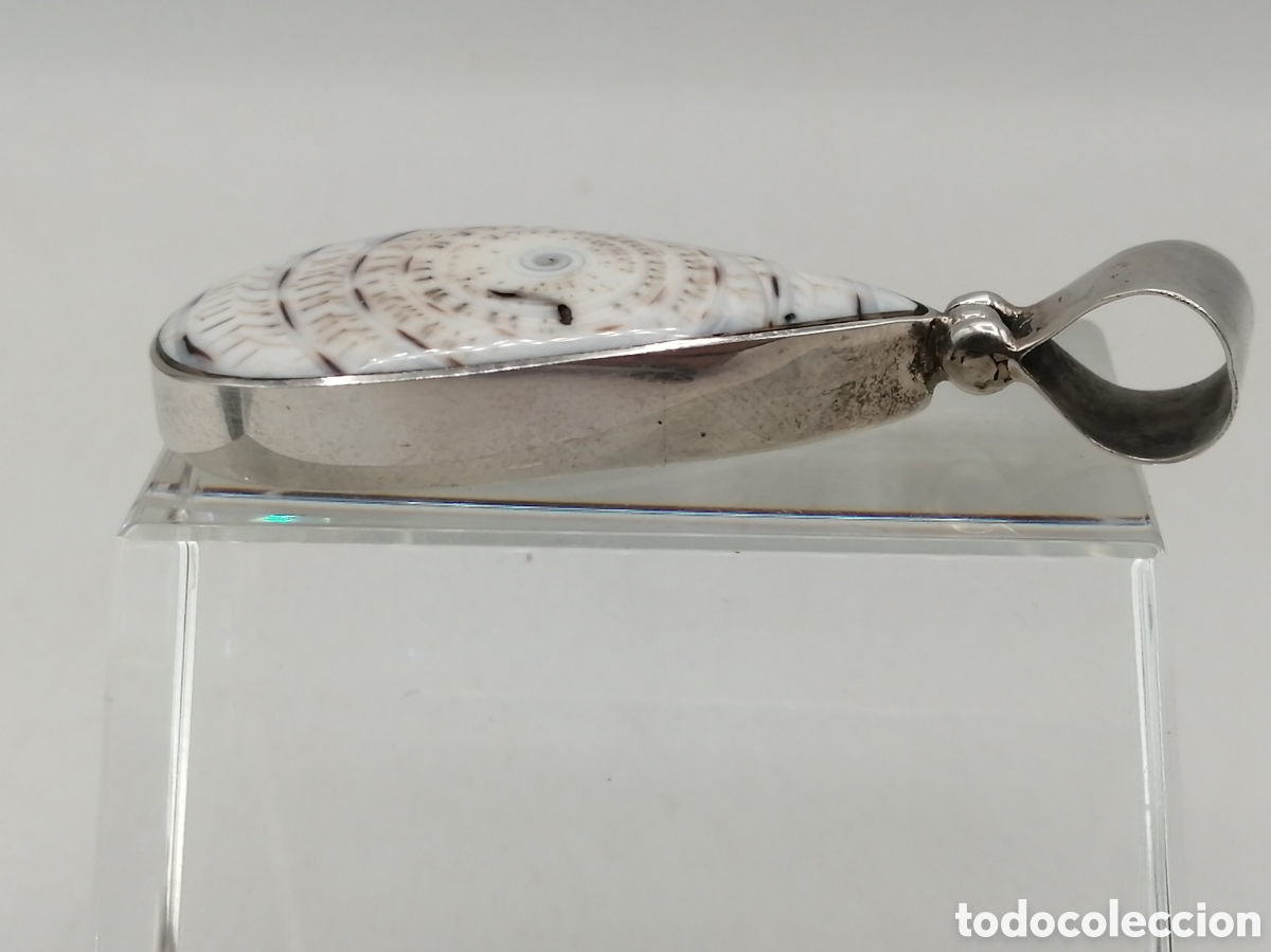 Joyeria: Colgante plata y concha marina - Foto 3