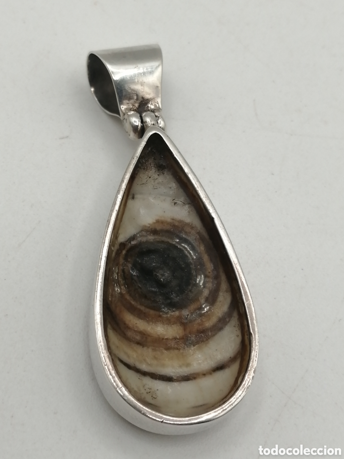 Joyeria: Colgante plata y concha marina - Foto 4