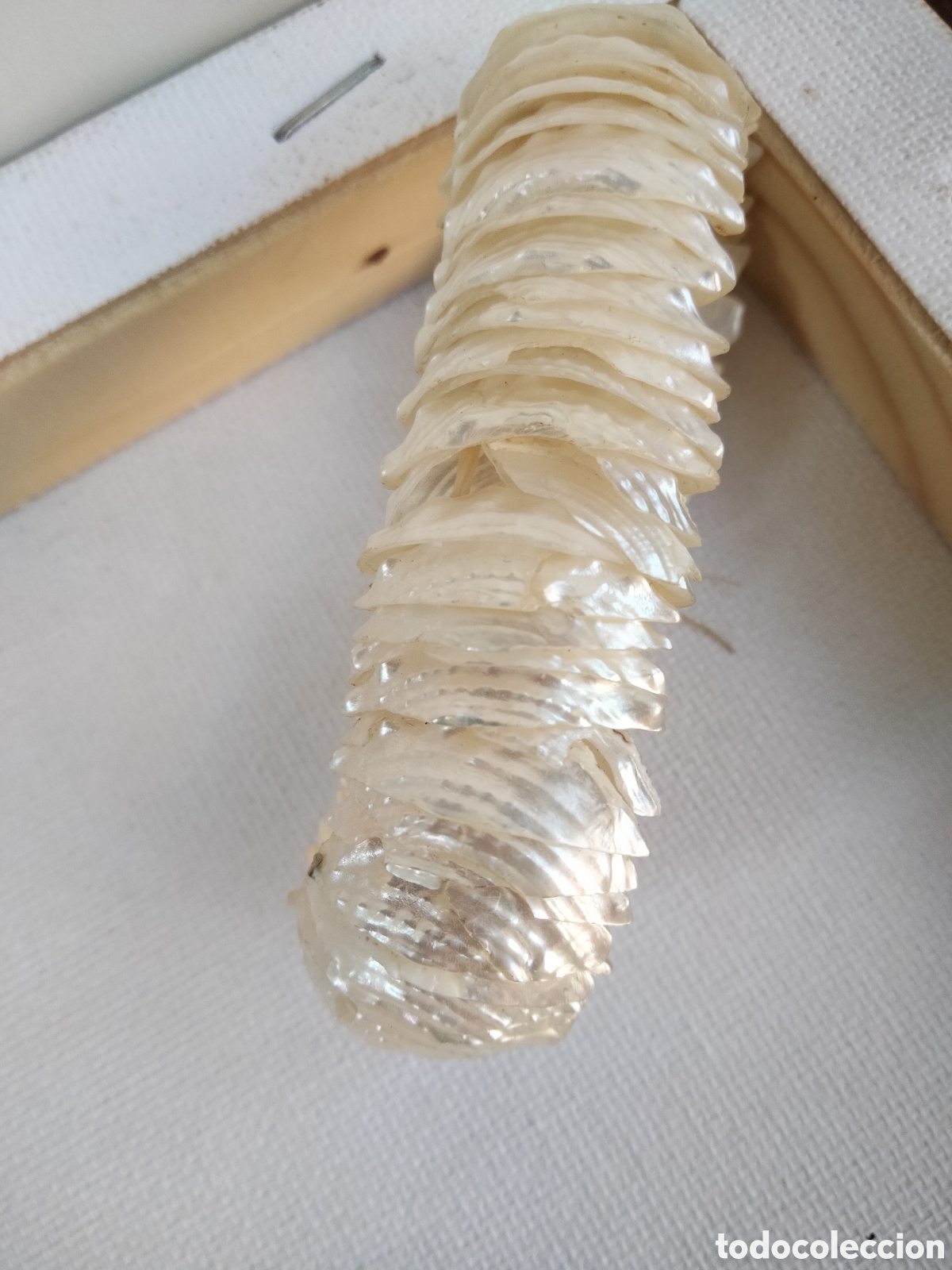 Joyeria: Fina pulsera de conchas de nacar madreperla - Foto 1
