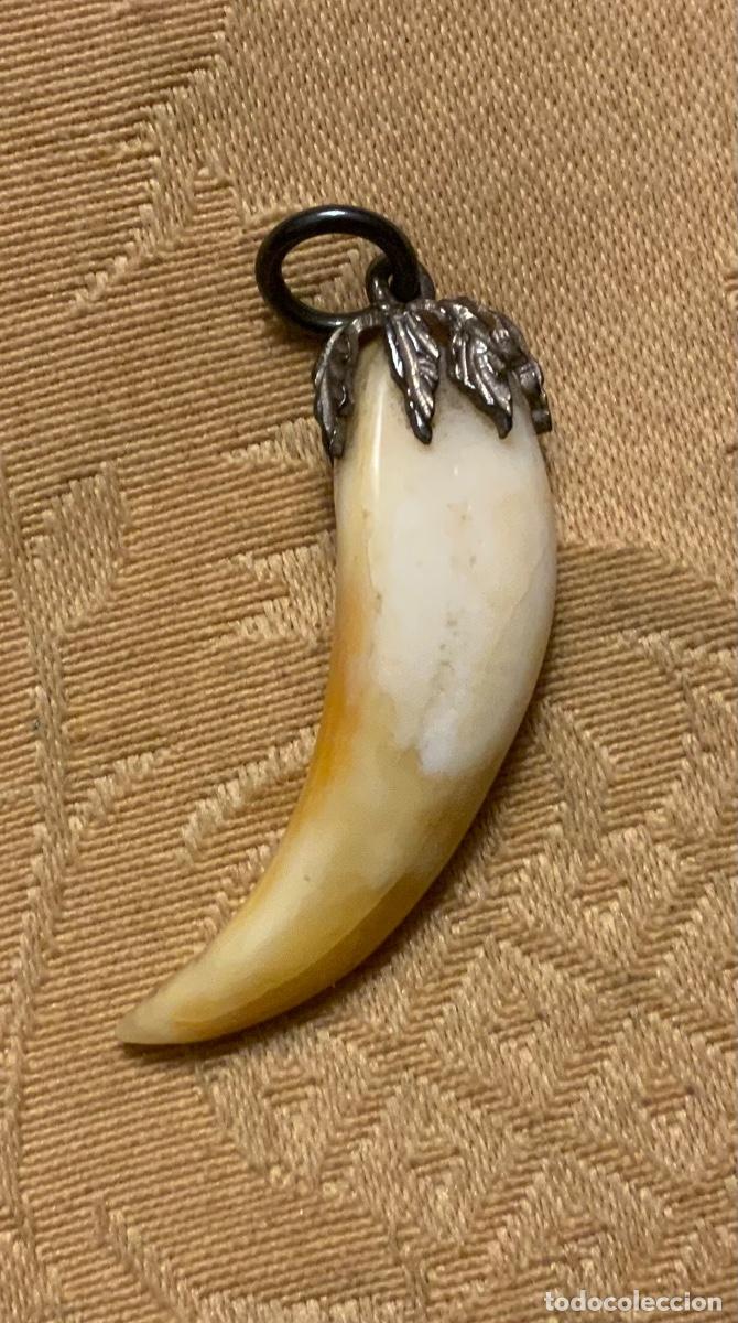 Joyeria: COLGANTE COLMILLO ENGARZADO EN PLATA - Foto 5