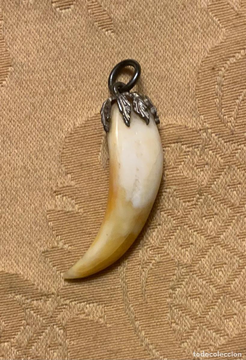 Joyeria: COLGANTE COLMILLO ENGARZADO EN PLATA - Foto 6