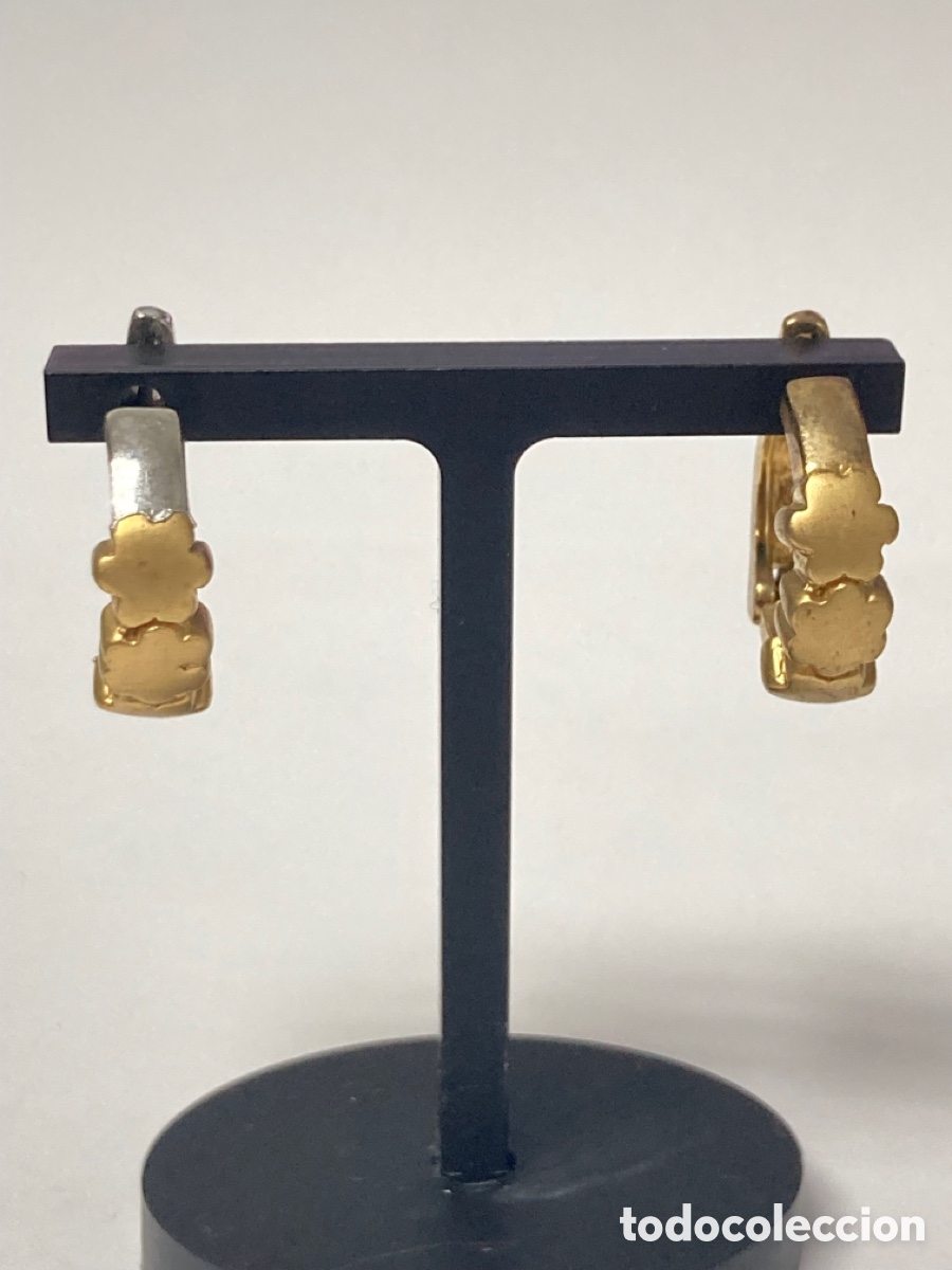 Gioielleria: Pendientes de plata bicolor/P54