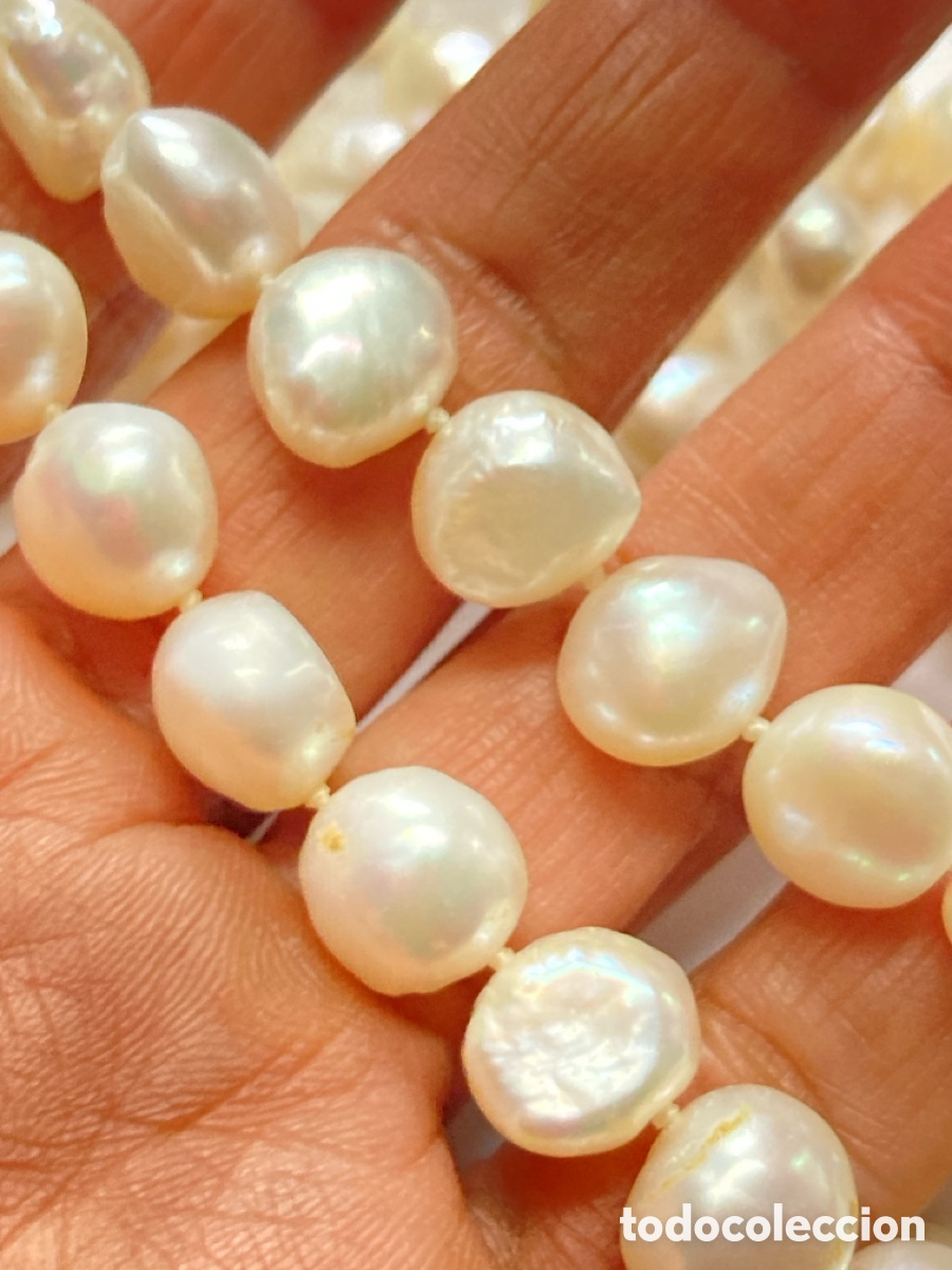 Joyeria: Collar de perlas cultivadas con cierre de plata/COLL6 - Foto 7