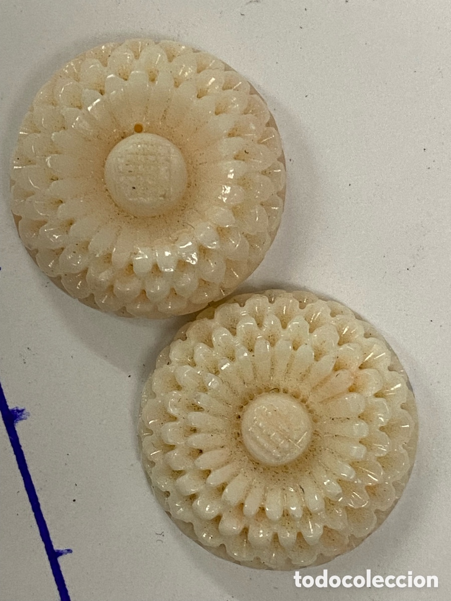 Gioielleria: Coral natural para Colgante o pendiente