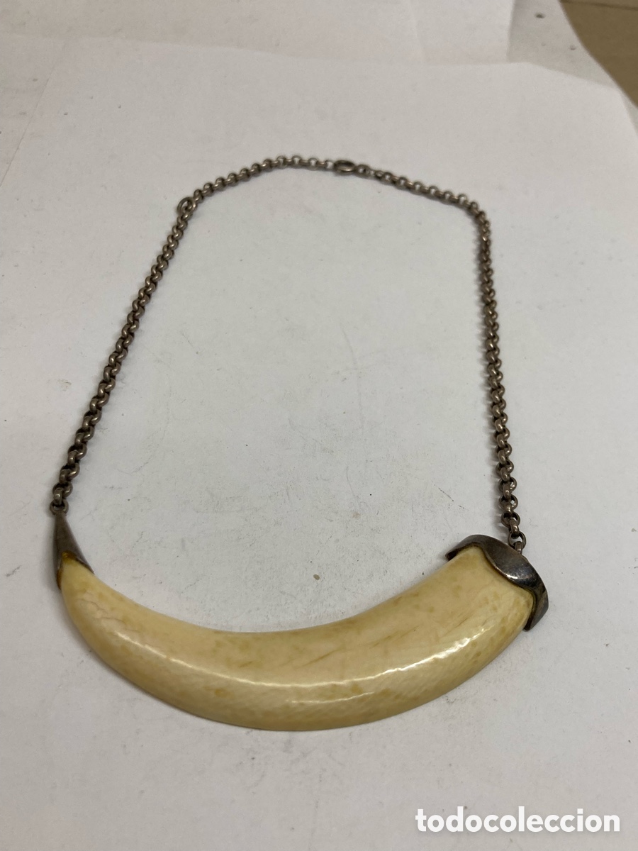 Joyeria: Collar de plata y cuerno de jabal&iacute; CC91 - Foto 1