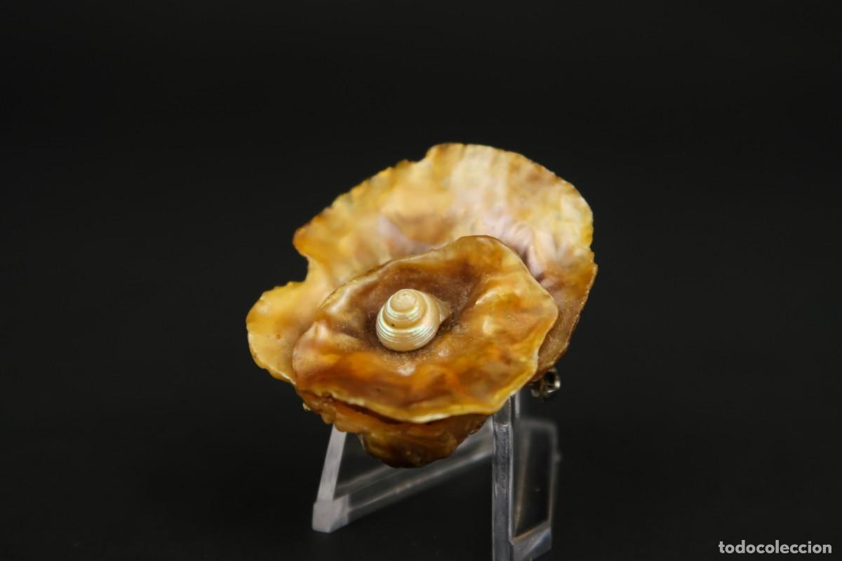Joyeria: Antiguo Broche de N&aacute;car - Foto 6