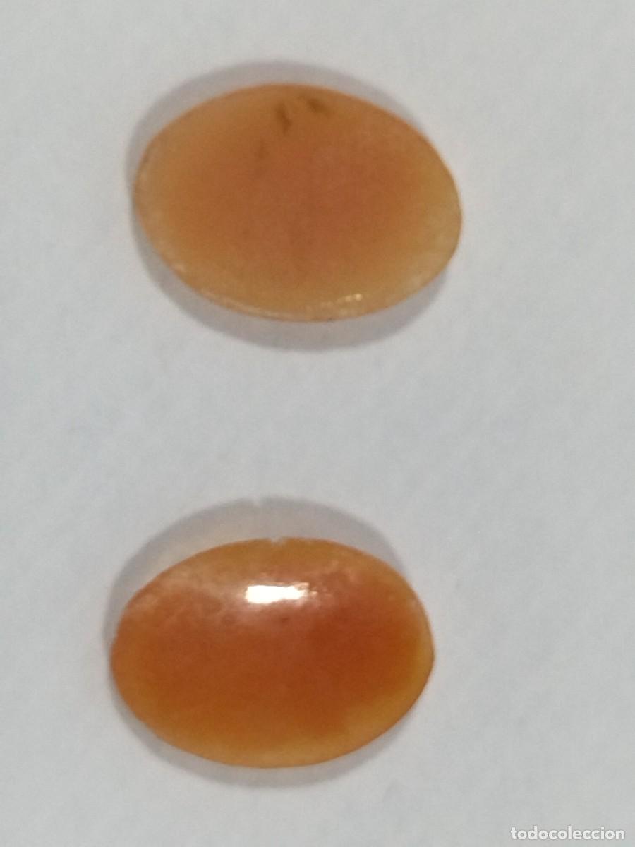 Joyeria: Camafeo de concha para joyer&iacute;a. Dos piezas - Foto 6