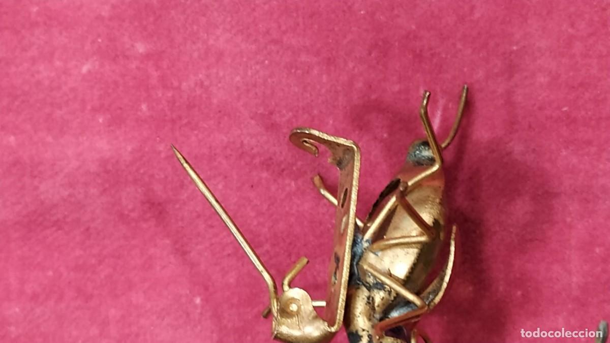 Joyeria: BROCHE EN FORMA DE INSECTO - Foto 6