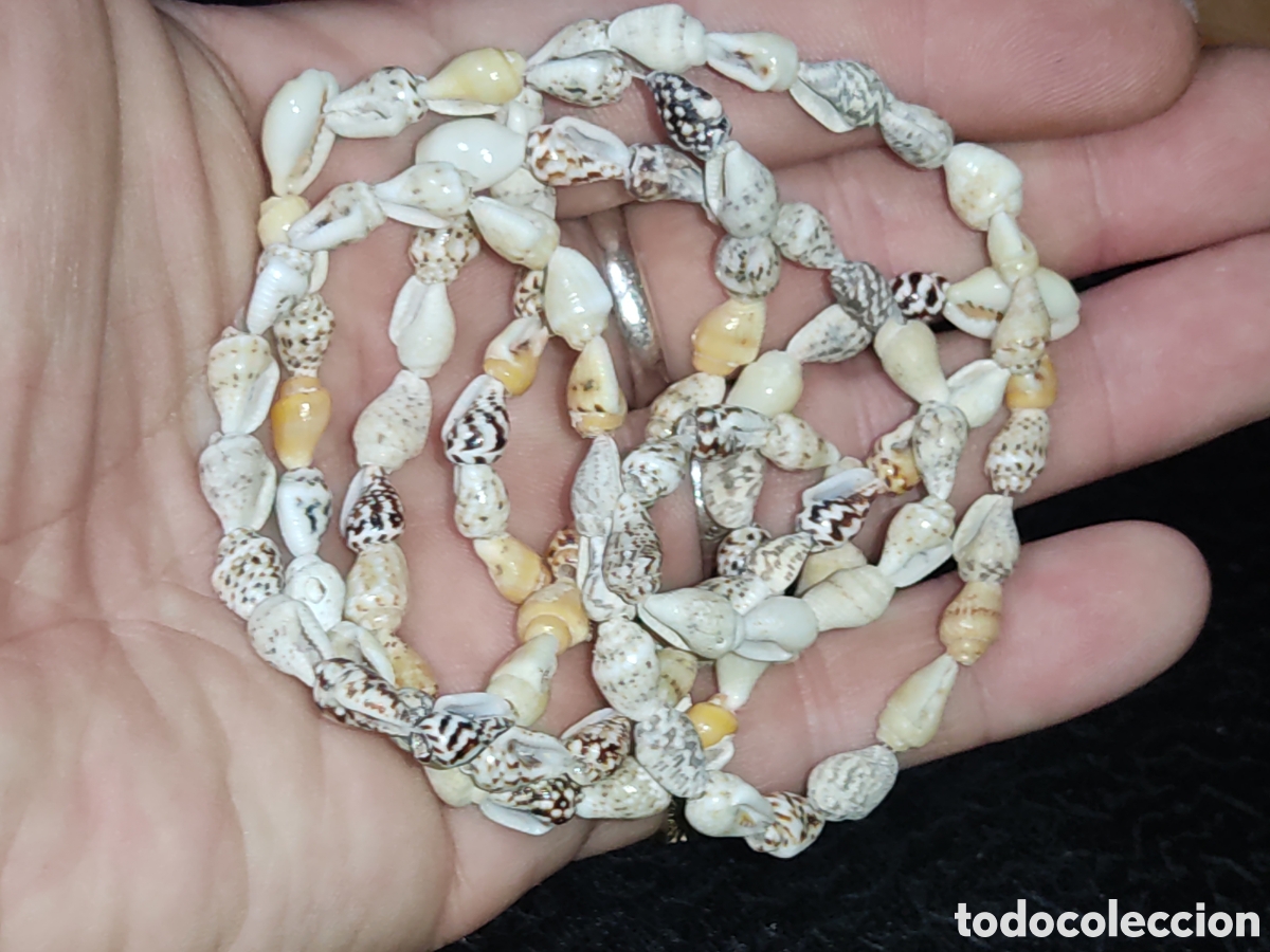 Joyeria: Collar largo de caracolas de mar.Vintage.Nuevo. - Foto 4