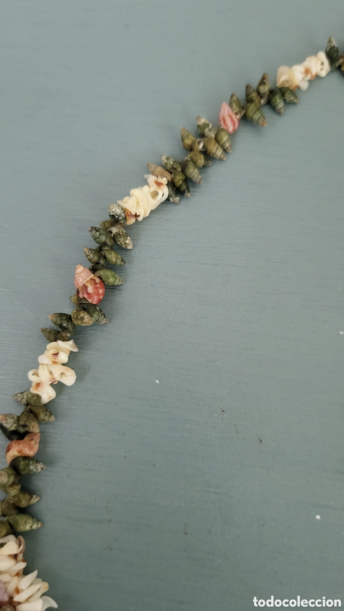 Joyeria: ANTIGUO COLLAR DE CONCHAS PROCEDENCIA BALEARES - Foto 5