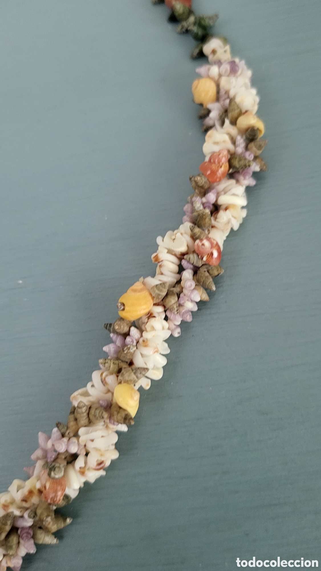 Joyeria: ANTIGUO COLLAR DE CONCHAS PROCEDENCIA BALEARES - Foto 6