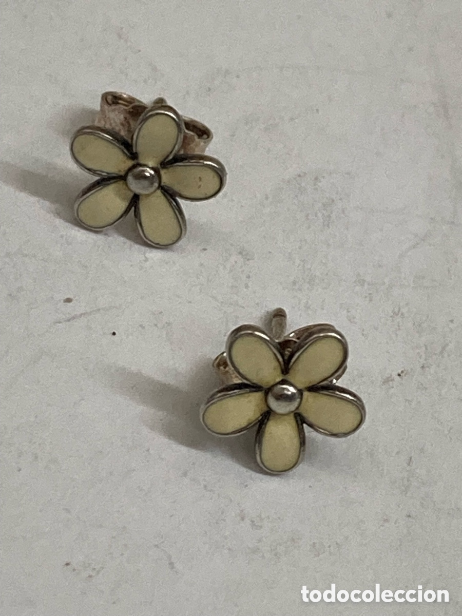Joyeria: Pendientes de plata esmaltado P229 - Foto 1