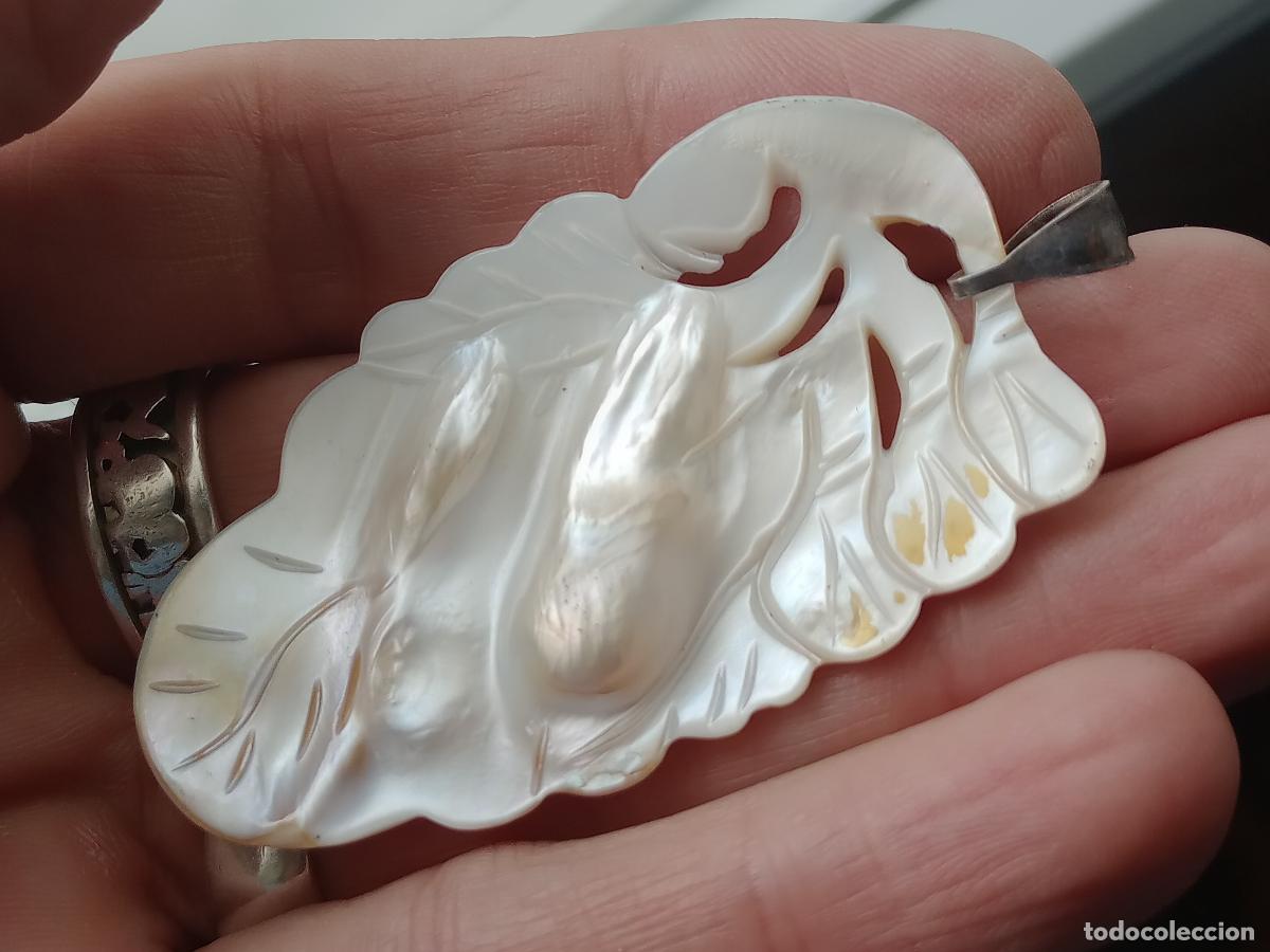Joyeria: Excelente colgante con madreperla - Foto 1