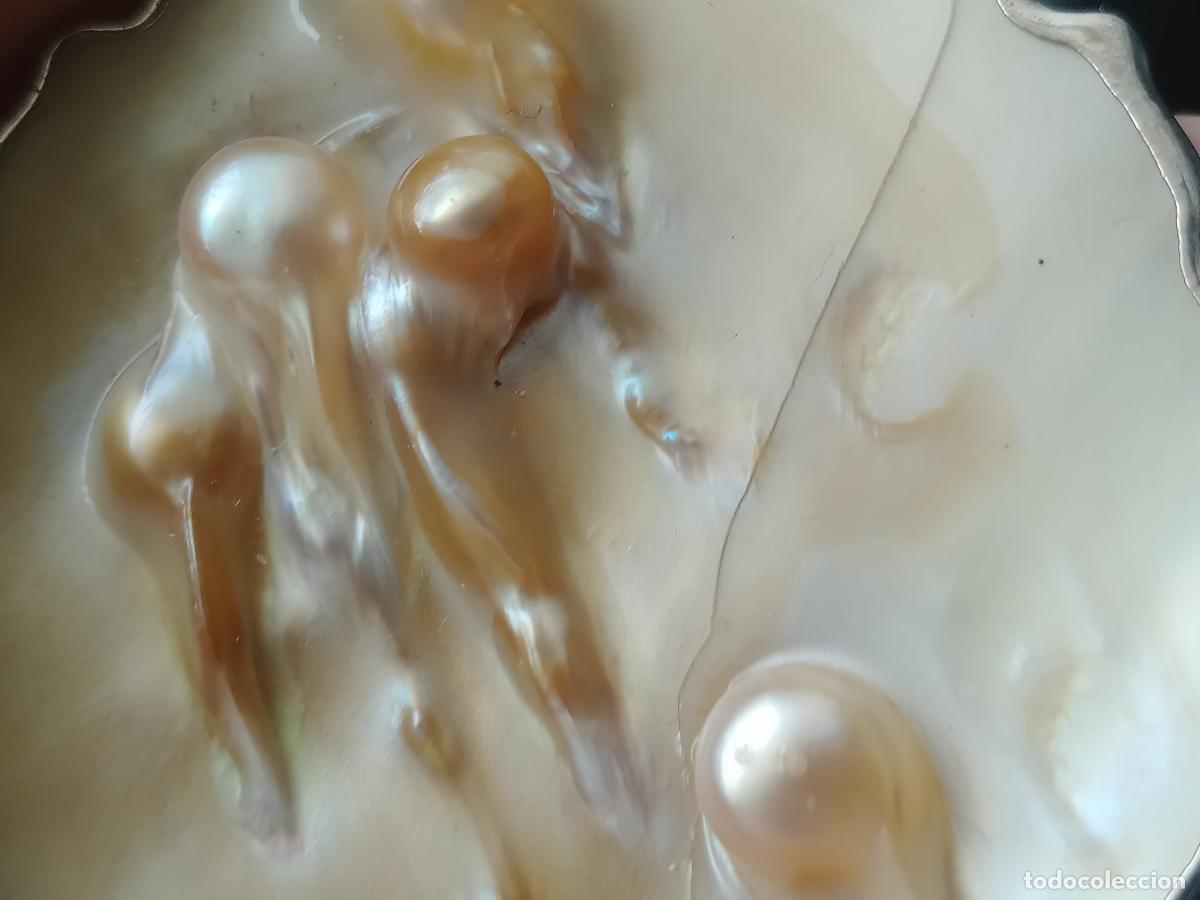 Joyeria: Excelente colgante con madreperla - Foto 3
