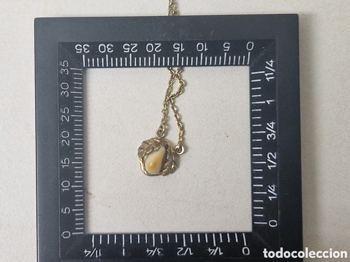 Joyeria: GARGANTILLA ORO 9 K CON DIENTE NATURAL - Foto 3