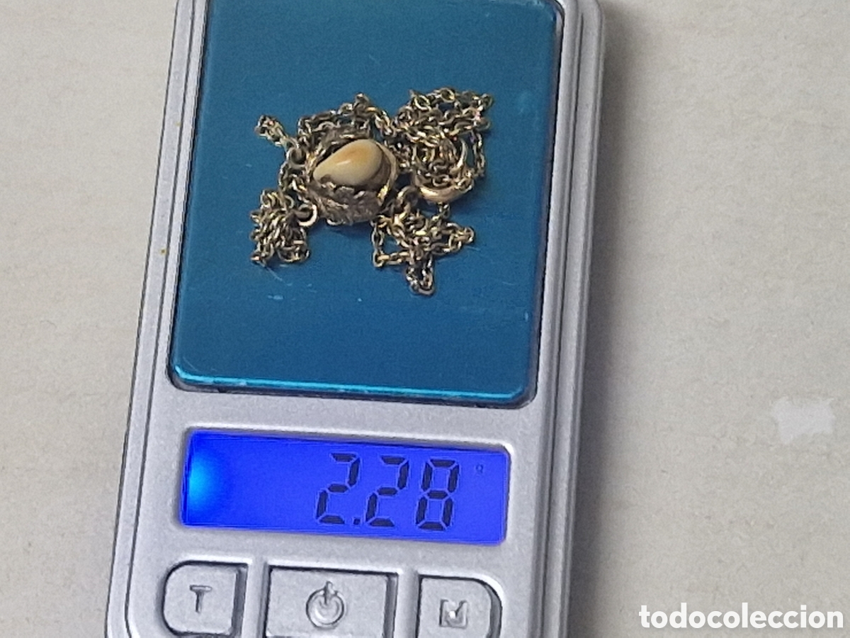 Joyeria: GARGANTILLA ORO 9 K CON DIENTE NATURAL - Foto 9