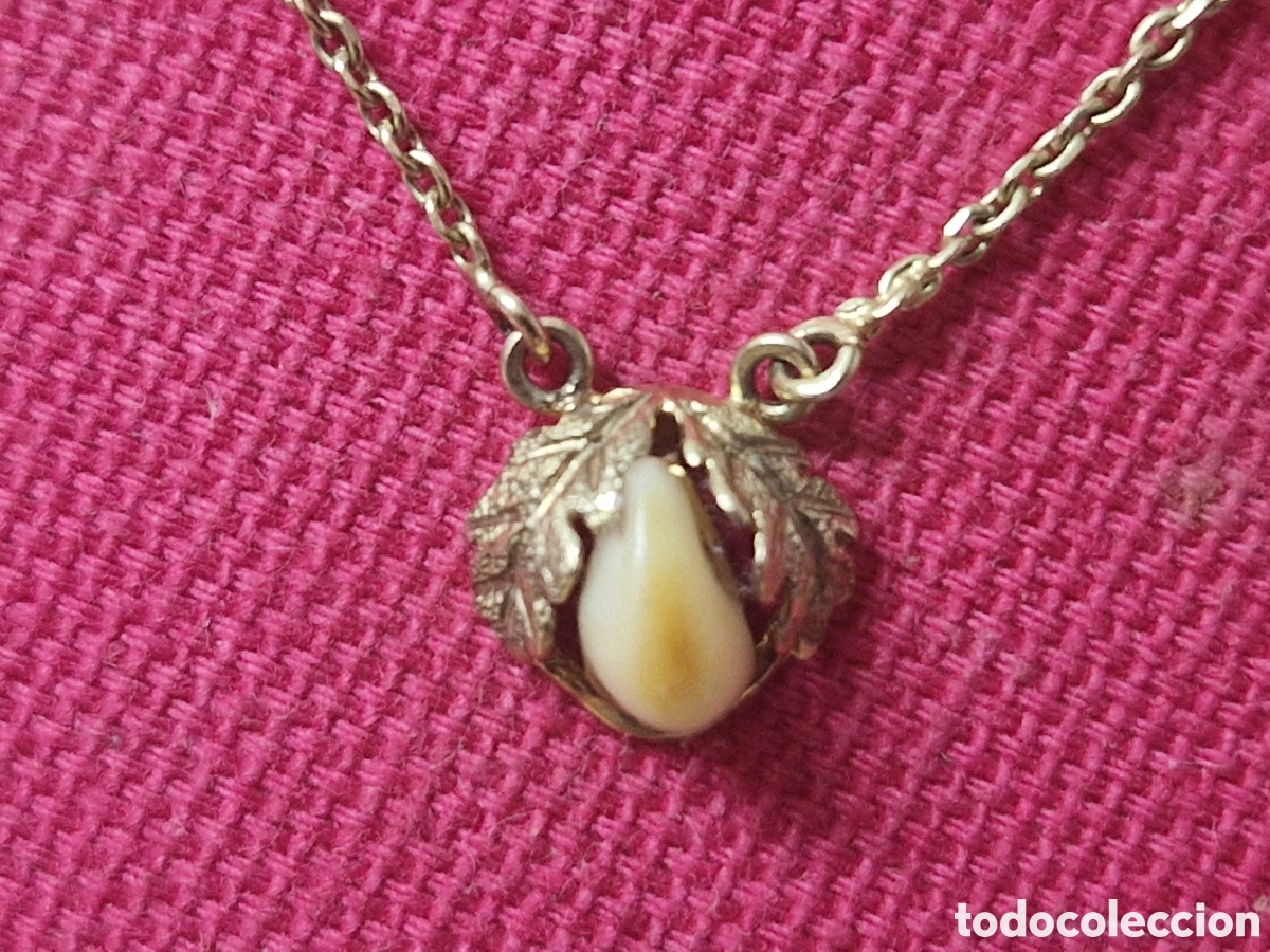 Joyeria: GARGANTILLA ORO 9 K CON DIENTE NATURAL - Foto 1