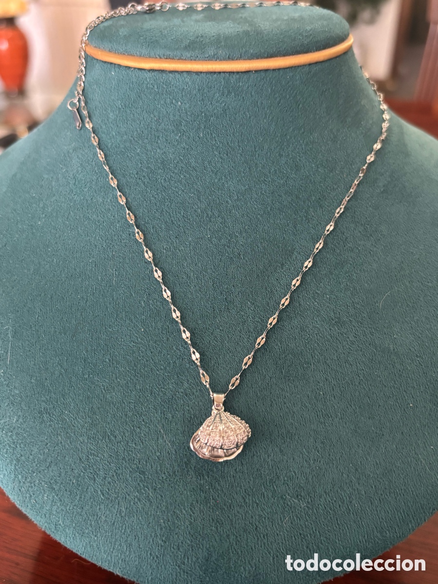 Joyeria: Colgante con cadena plateada - Foto 1