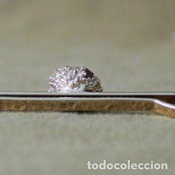 Joyeria: Pasador de corbata, Jacinto de Compostela. - Foto 3
