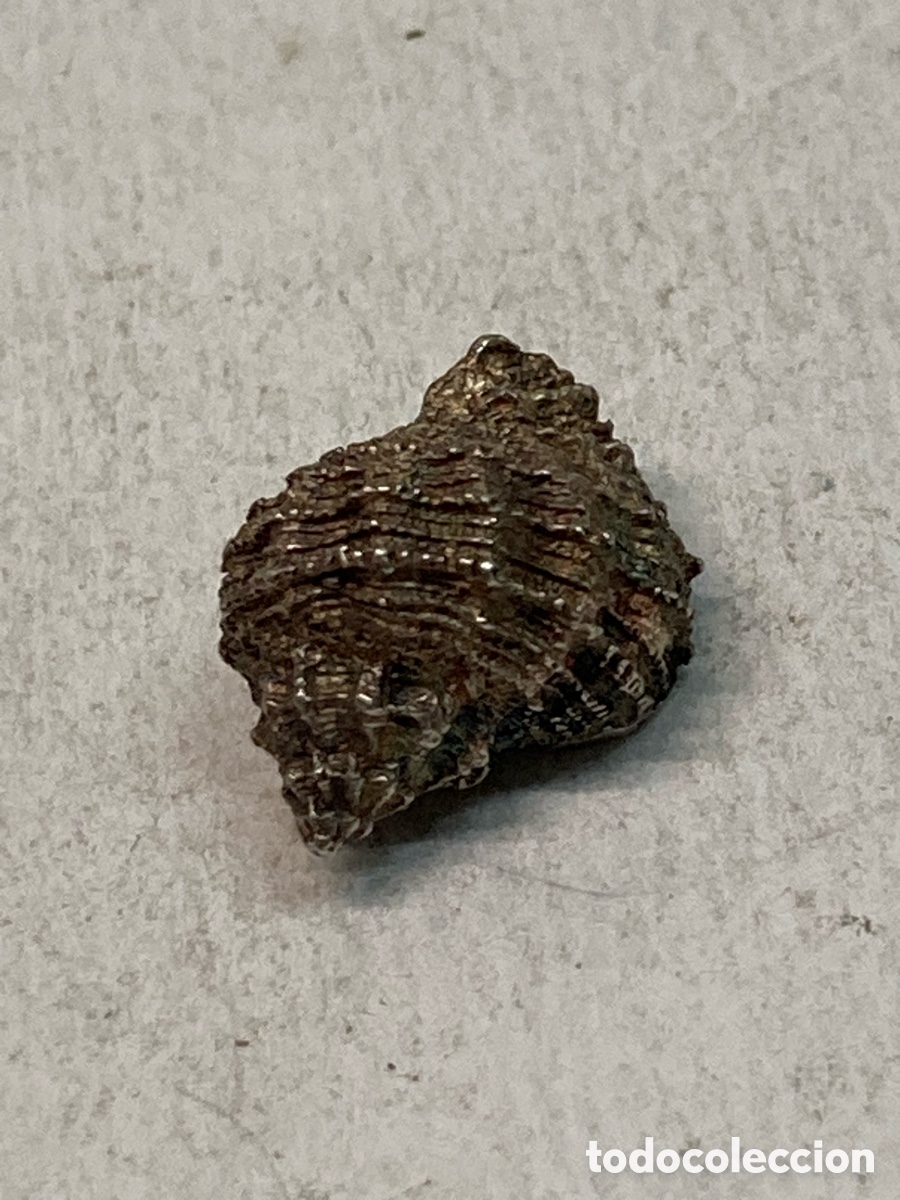 Joyeria: Colgante de plata C147 - Foto 1