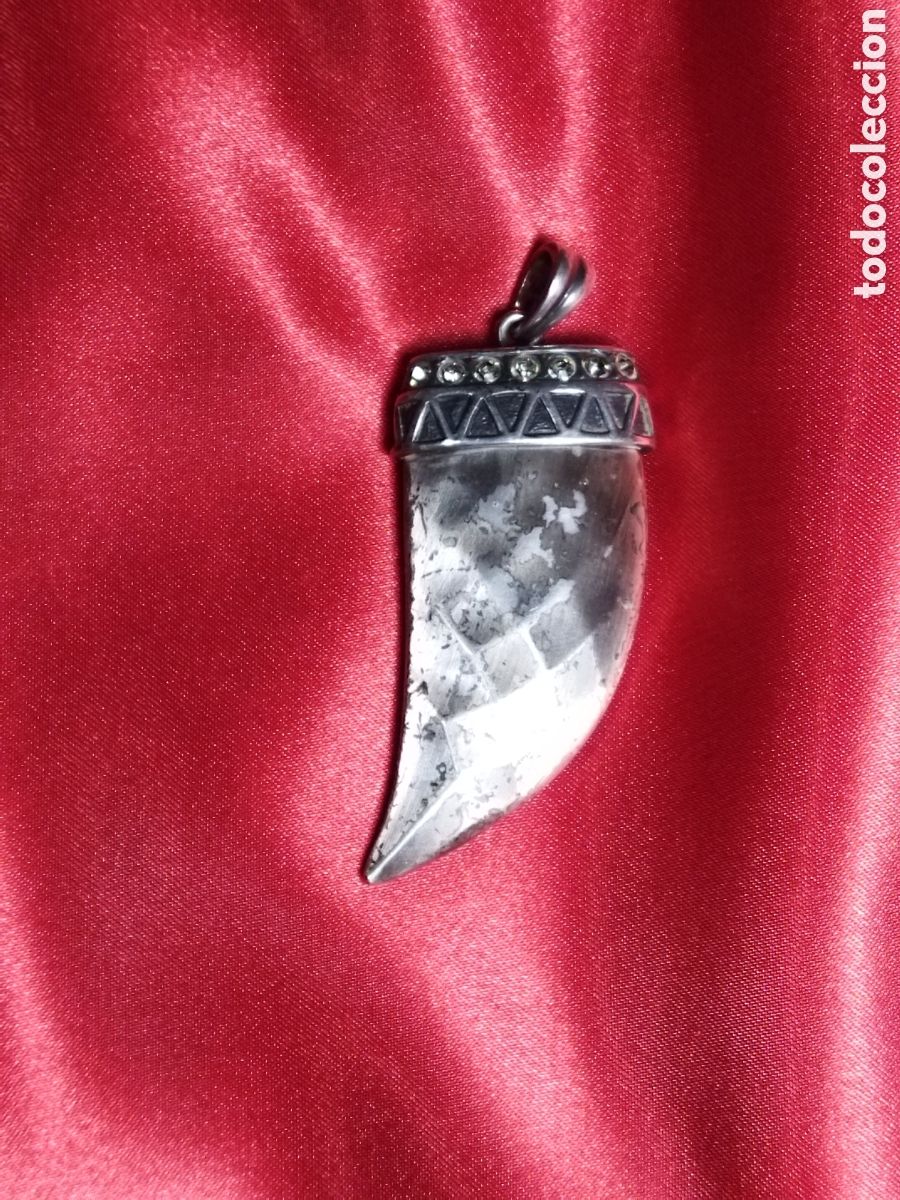 Joyeria: Colgante garra de le&oacute;n de plata - Foto 2
