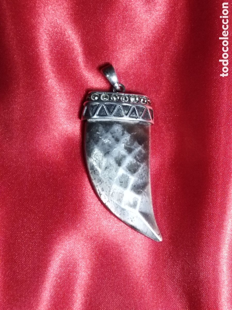 Joyeria: Colgante garra de le&oacute;n de plata - Foto 1