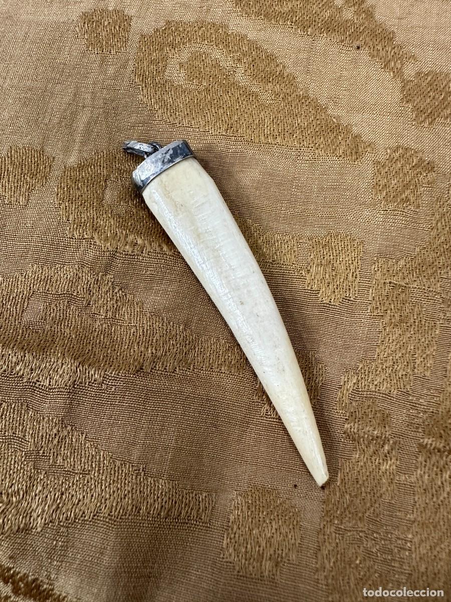 Joyeria: Antiguo colmillo. Amuleto protector - Foto 1