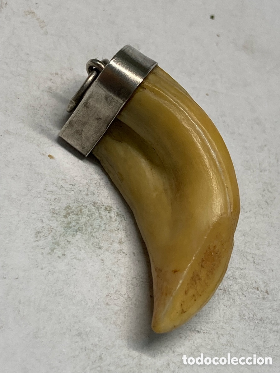 Joyeria: Colgante de plata y hueso C335 - Foto 1
