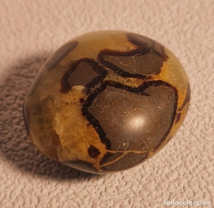 Joyeria: Cabuj&oacute;n de Septaria de Madagascar - Foto 5