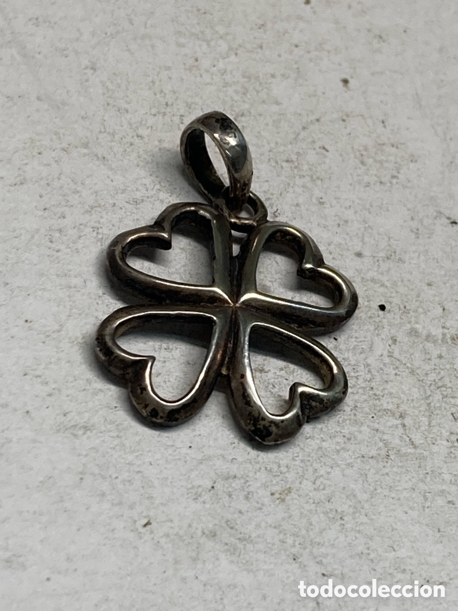 Joyeria: Colgante de plata C341 - Foto 1