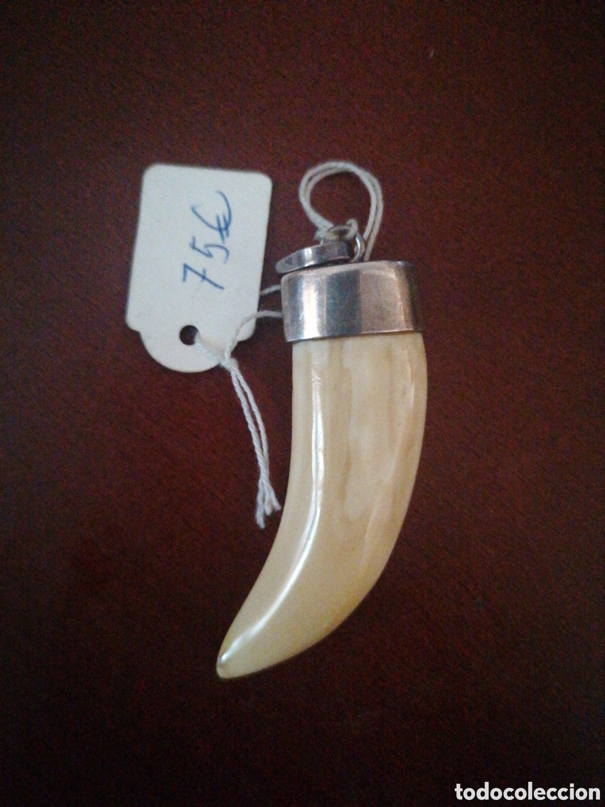 Joyeria: Gran Colmillo amuleto Marfil y plata - Foto 1