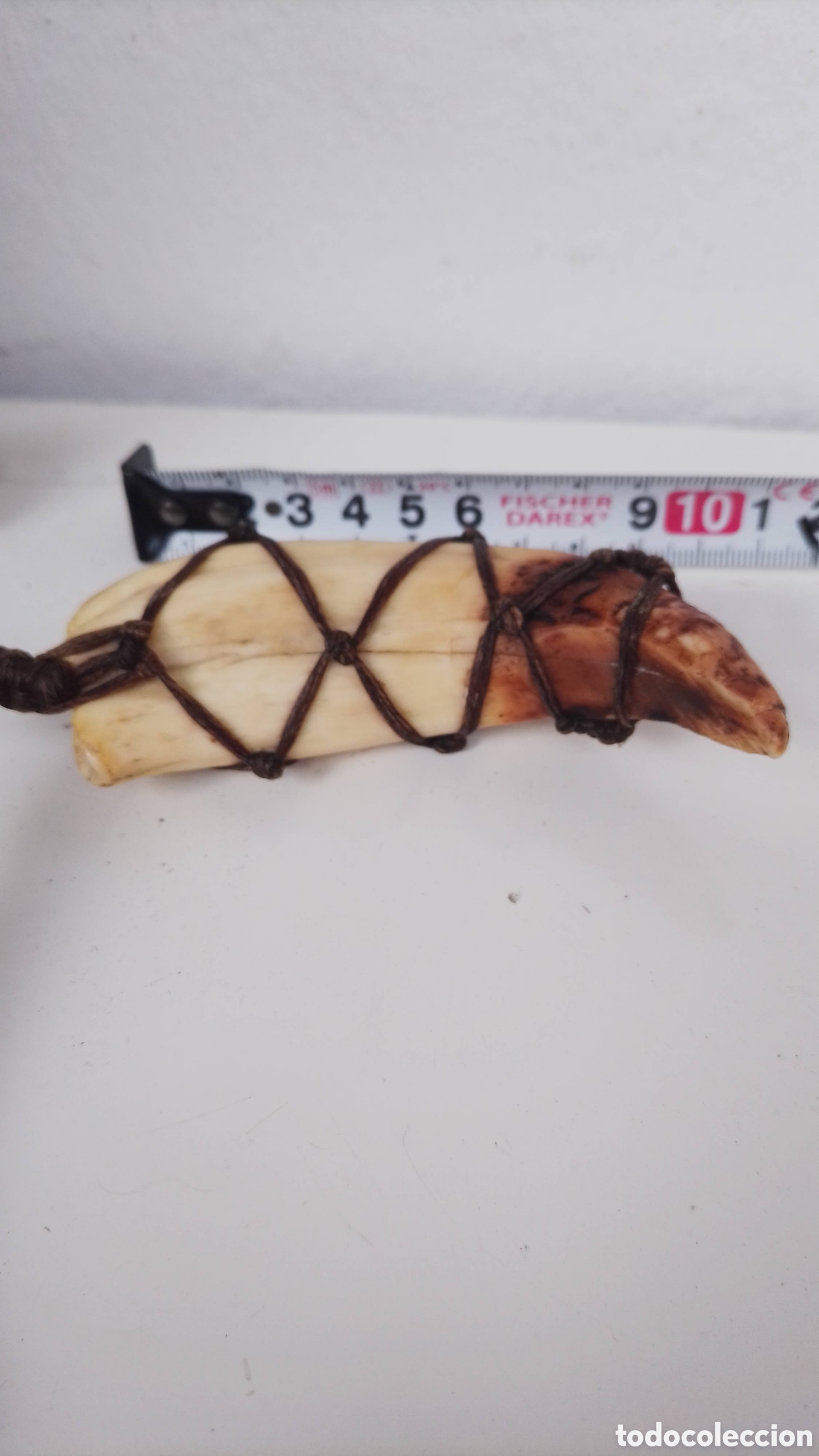 Joyeria: Colgante de colmillo - Foto 1